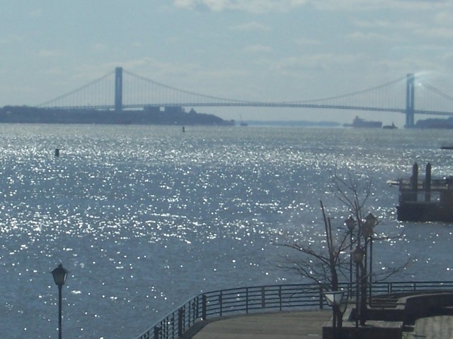 000_0484.jpg