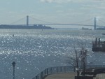 000_0484.jpg